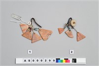 藏品(貝製耳飾)的圖片